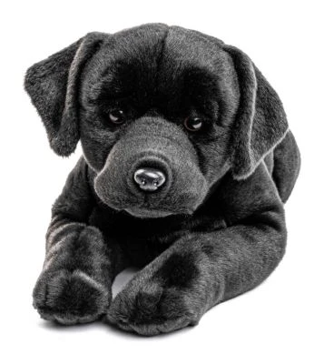UNI-TOYS® Labrador Schwarz, Liegend - 60 Cm (Länge) - Plüsch-Hund, Haustier - Plüschtier Kuscheltiere 1 UNI-TOYS® Labrador Schwarz, Liegend - 60 Cm (Länge) - Plüsch-Hund, Haustier - Plüschtier Kuscheltiere