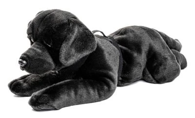 UNI-TOYS® Labrador Schwarz, Liegend - 60 Cm (Länge) - Plüsch-Hund, Haustier - Plüschtier Kuscheltiere 2 UNI-TOYS® Labrador Schwarz, Liegend - 60 Cm (Länge) - Plüsch-Hund, Haustier - Plüschtier Kuscheltiere – Bild 2