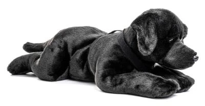 UNI-TOYS® Labrador Schwarz, Liegend - 60 Cm (Länge) - Plüsch-Hund, Haustier - Plüschtier Kuscheltiere 3 UNI-TOYS® Labrador Schwarz, Liegend - 60 Cm (Länge) - Plüsch-Hund, Haustier - Plüschtier Kuscheltiere – Bild 3